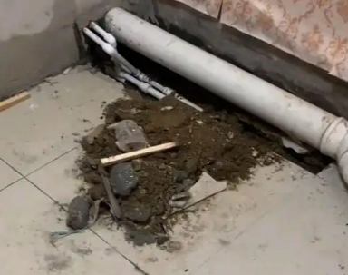明溪卫生间漏水检测哪家好